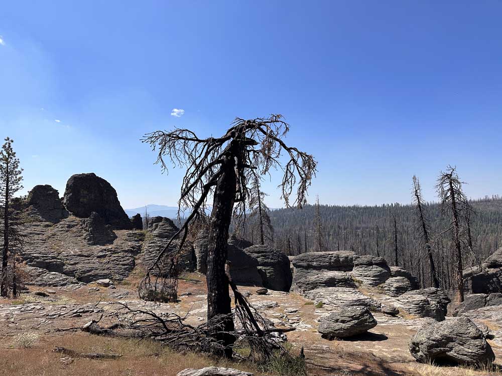 Gearhart Mountain: Burned and scarred by the Bootleg Fire, but