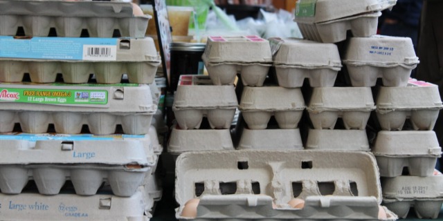 Oregon SNAP benefits to be fully funded for November, Gov. Kotek says