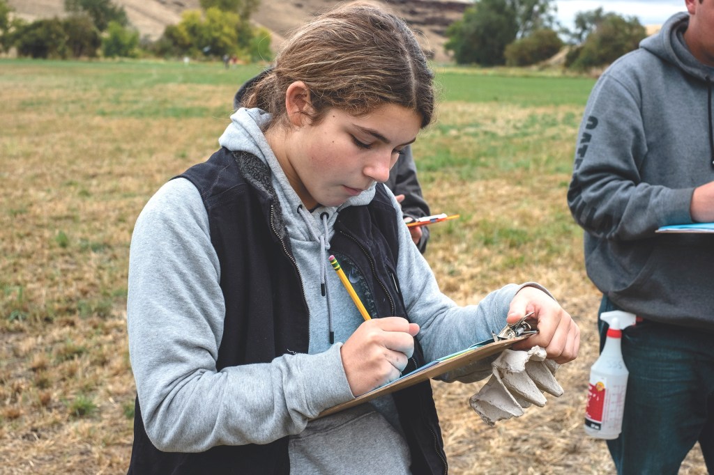 Oregon ag teachers react to proposed state FFA funding cuts