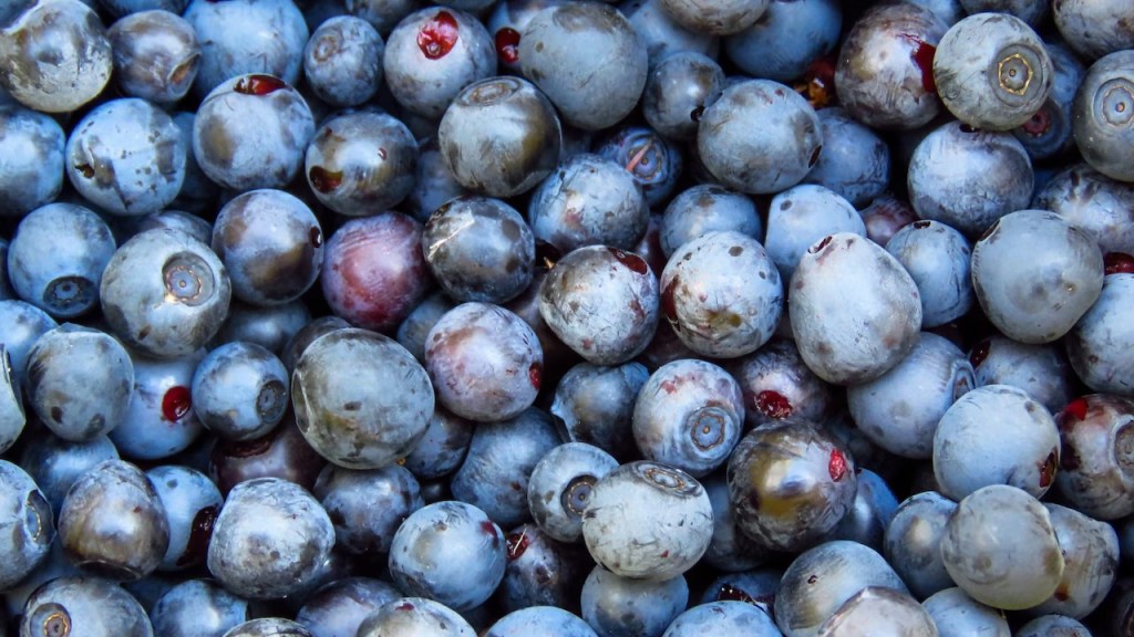 Oregon company recalls 55,000 pounds of frozen berries due to listeria concerns
